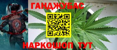 молекула духа Славянск-на-Кубани