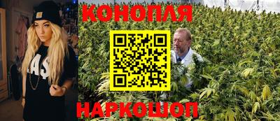 молекула духа Славянск-на-Кубани