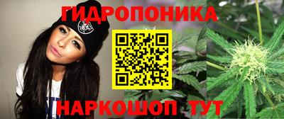 молекула духа Славянск-на-Кубани