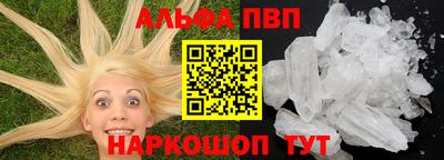 стаф Славгород