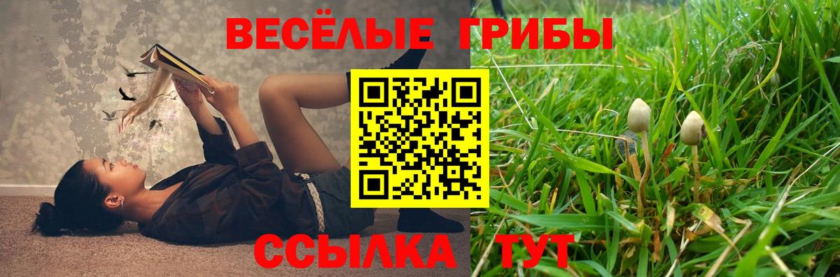 Псилоцибиновые грибы мицелий Нерюнгри